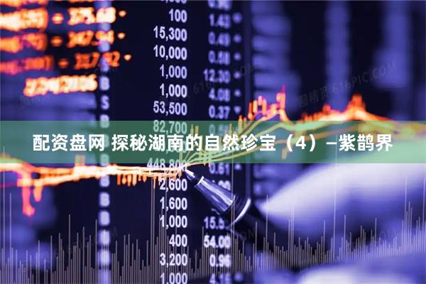 配资盘网 探秘湖南的自然珍宝（4）—紫鹊界