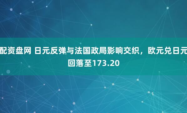 配资盘网 日元反弹与法国政局影响交织，欧元兑日元回落至173.20