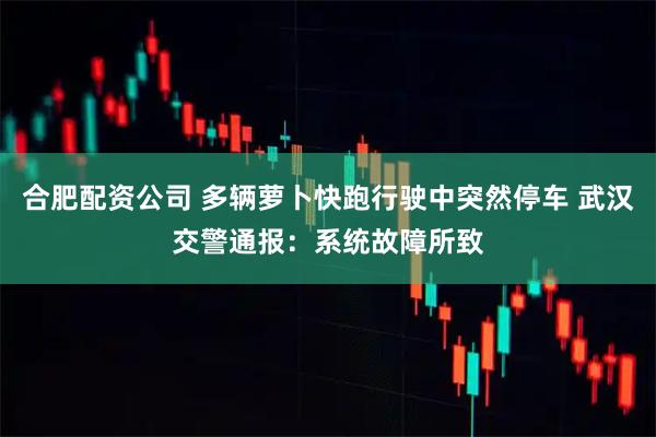 合肥配资公司 多辆萝卜快跑行驶中突然停车 武汉交警通报：系统故障所致